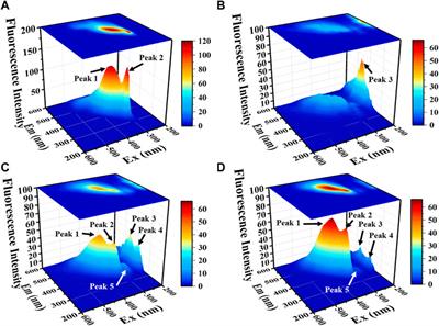 Isolation and screening of phosphorus solubilizing bacteria from saline alkali soil and their potential for Pb pollution remediation
